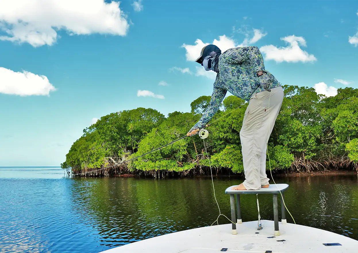 The Fly Shop Travel Image