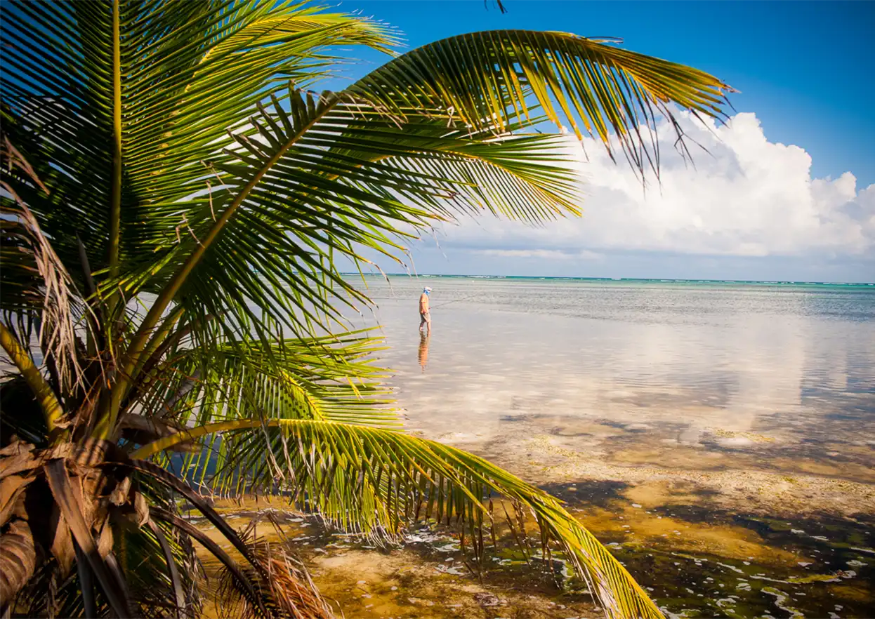 The Fly Shop Travel Image