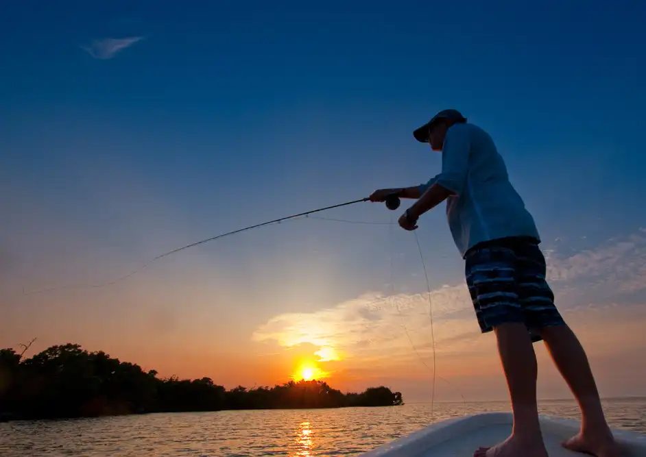 The Fly Shop Travel Image