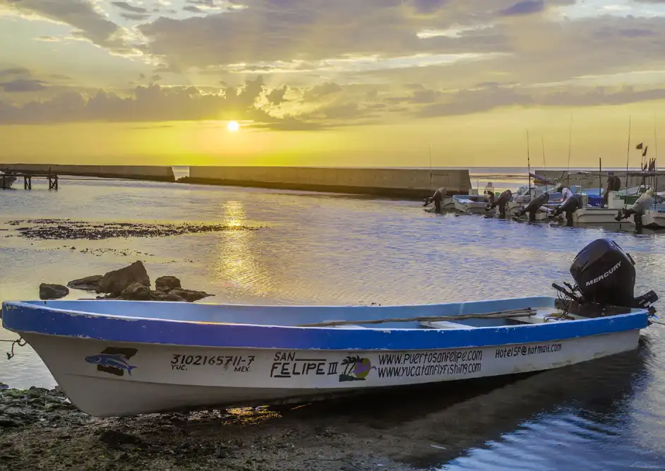 The Fly Shop Travel Image