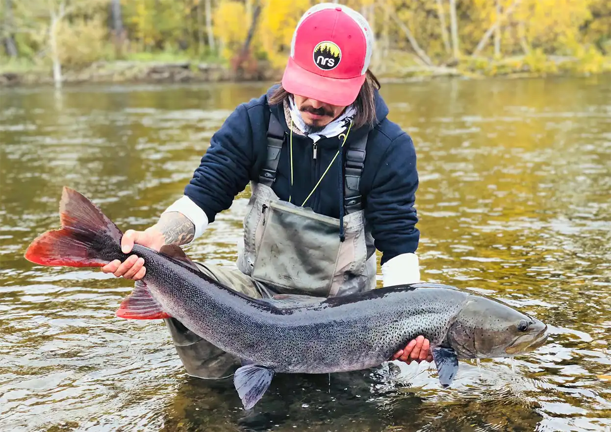 The Fly Shop Travel Image