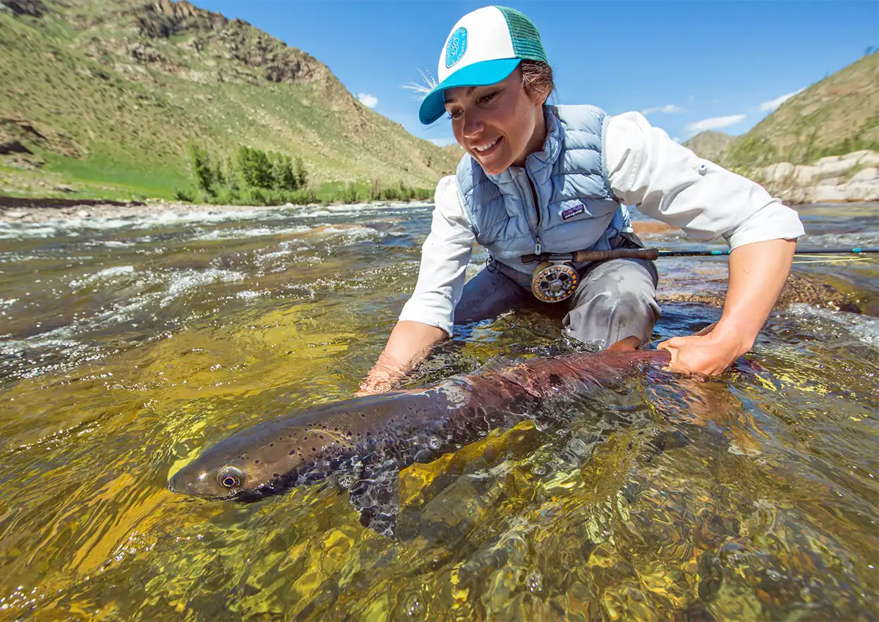 The Fly Shop Travel Image