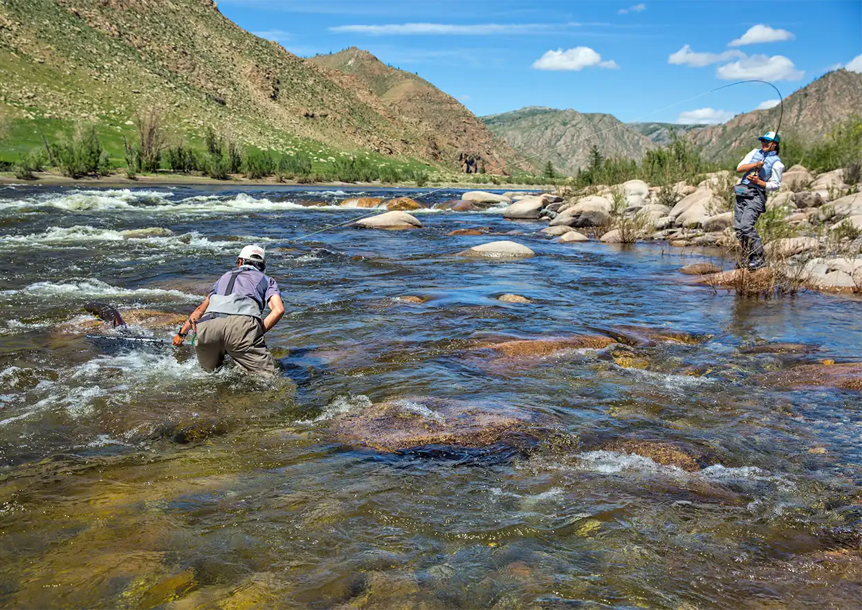 The Fly Shop Travel Image