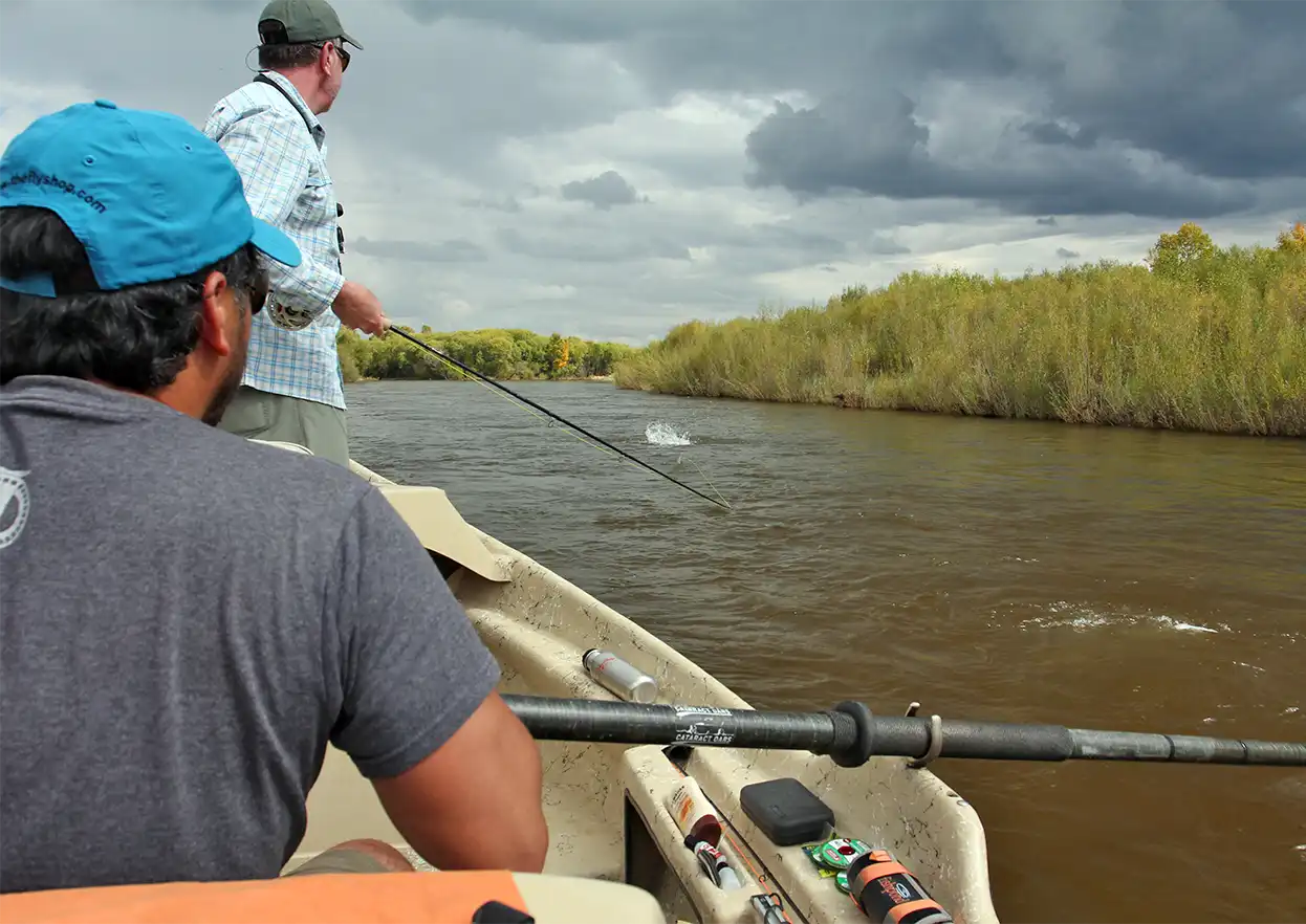 The Fly Shop Travel Image