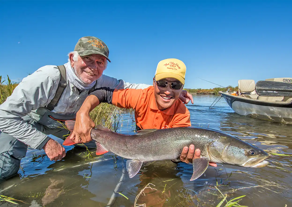 The Fly Shop Travel Image