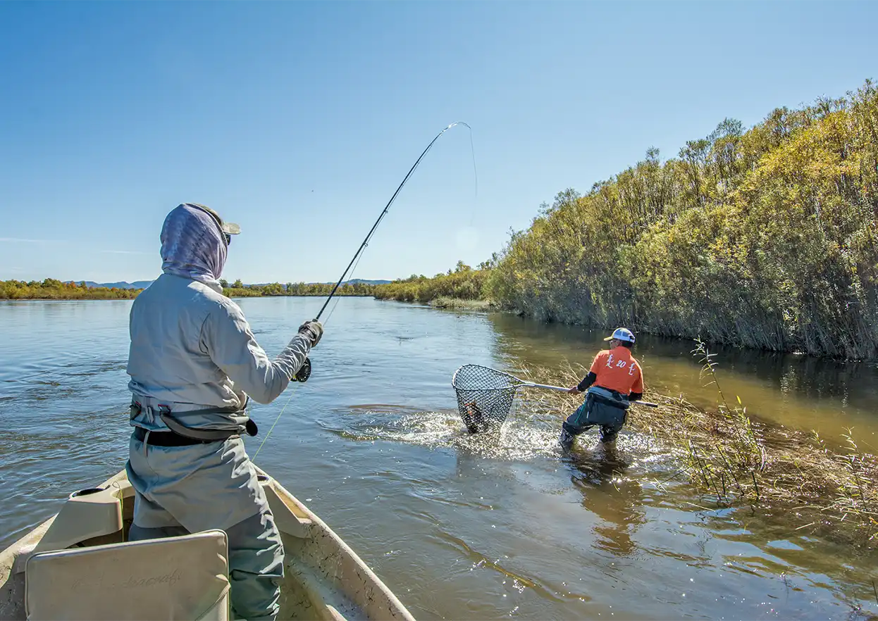 The Fly Shop Travel Image