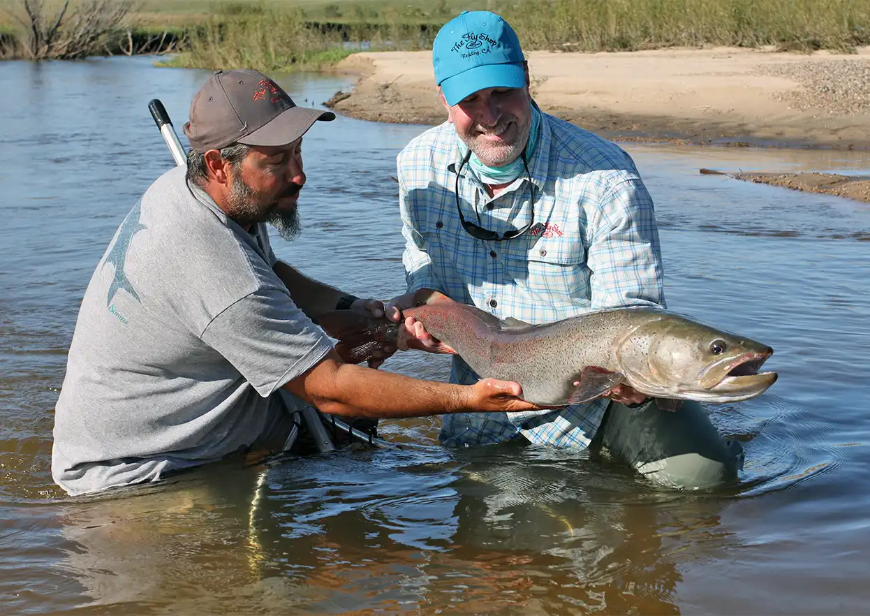 The Fly Shop Travel Image