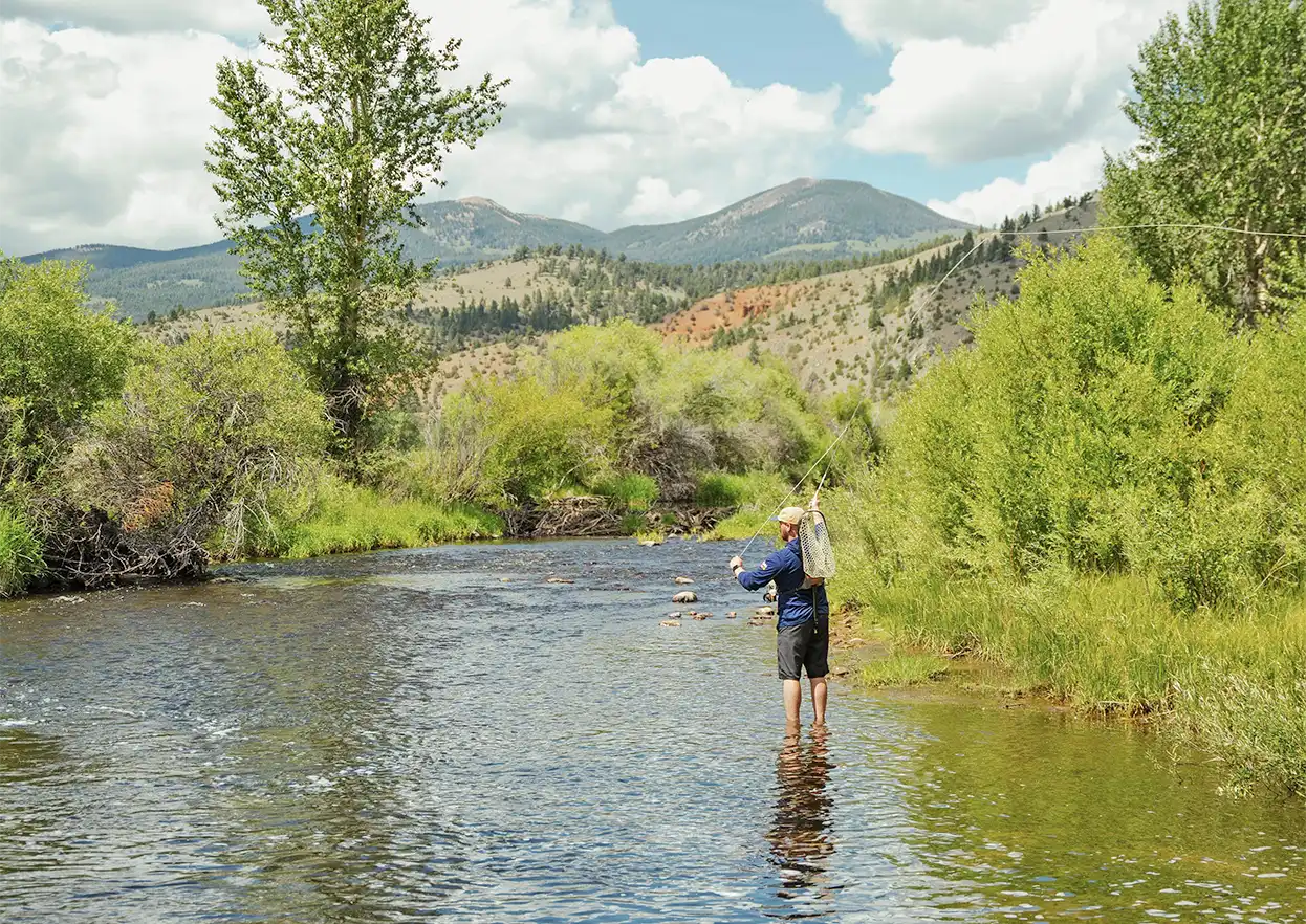 The Fly Shop Travel Image