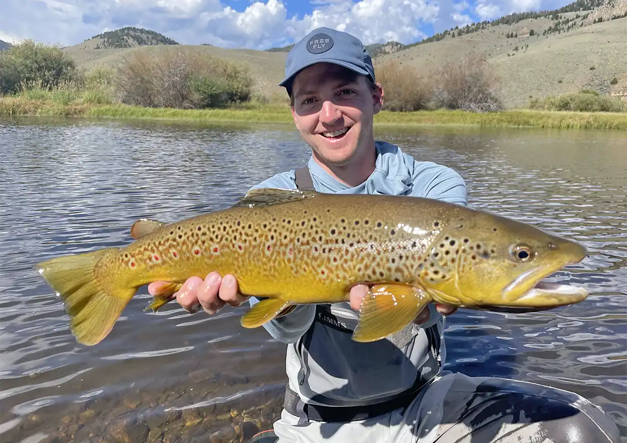 The Fly Shop Travel Image