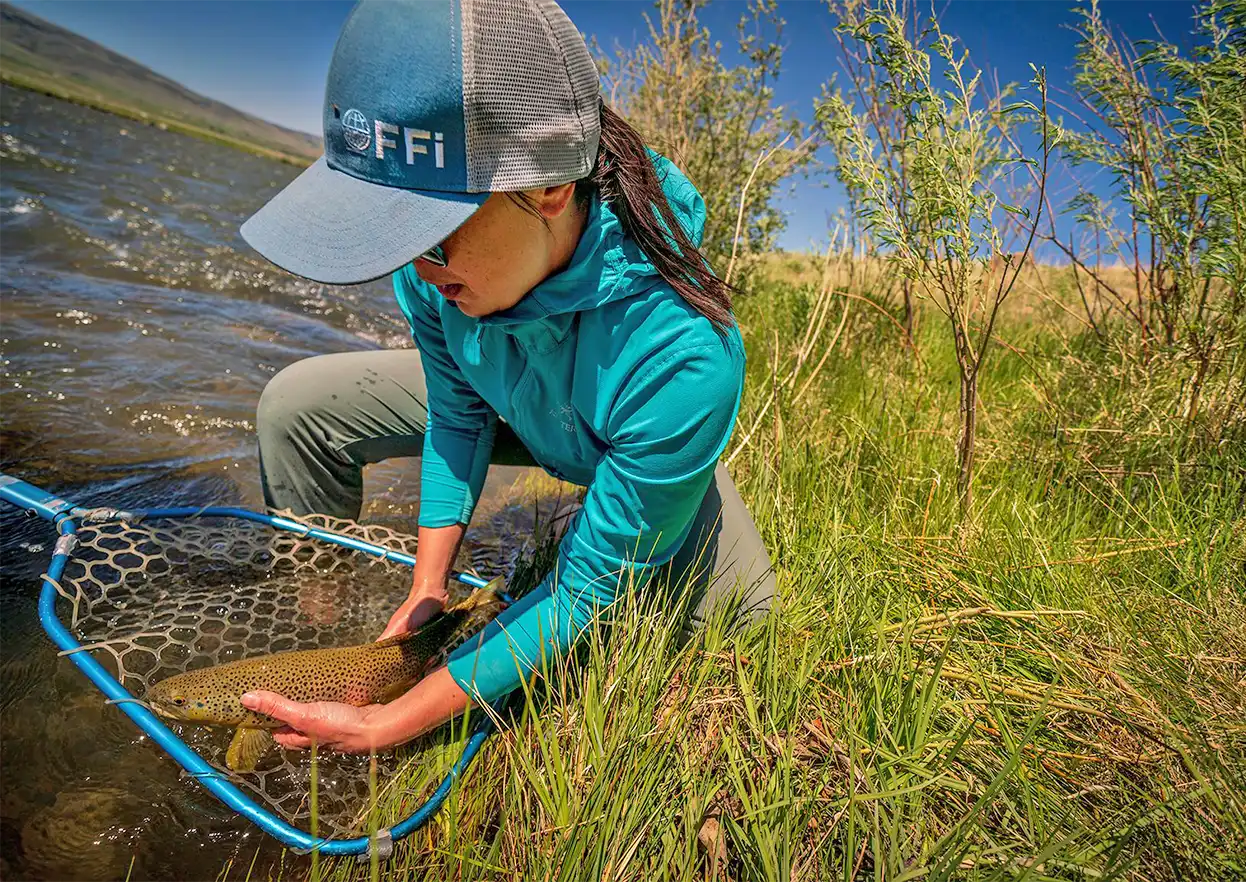 The Fly Shop Travel Image