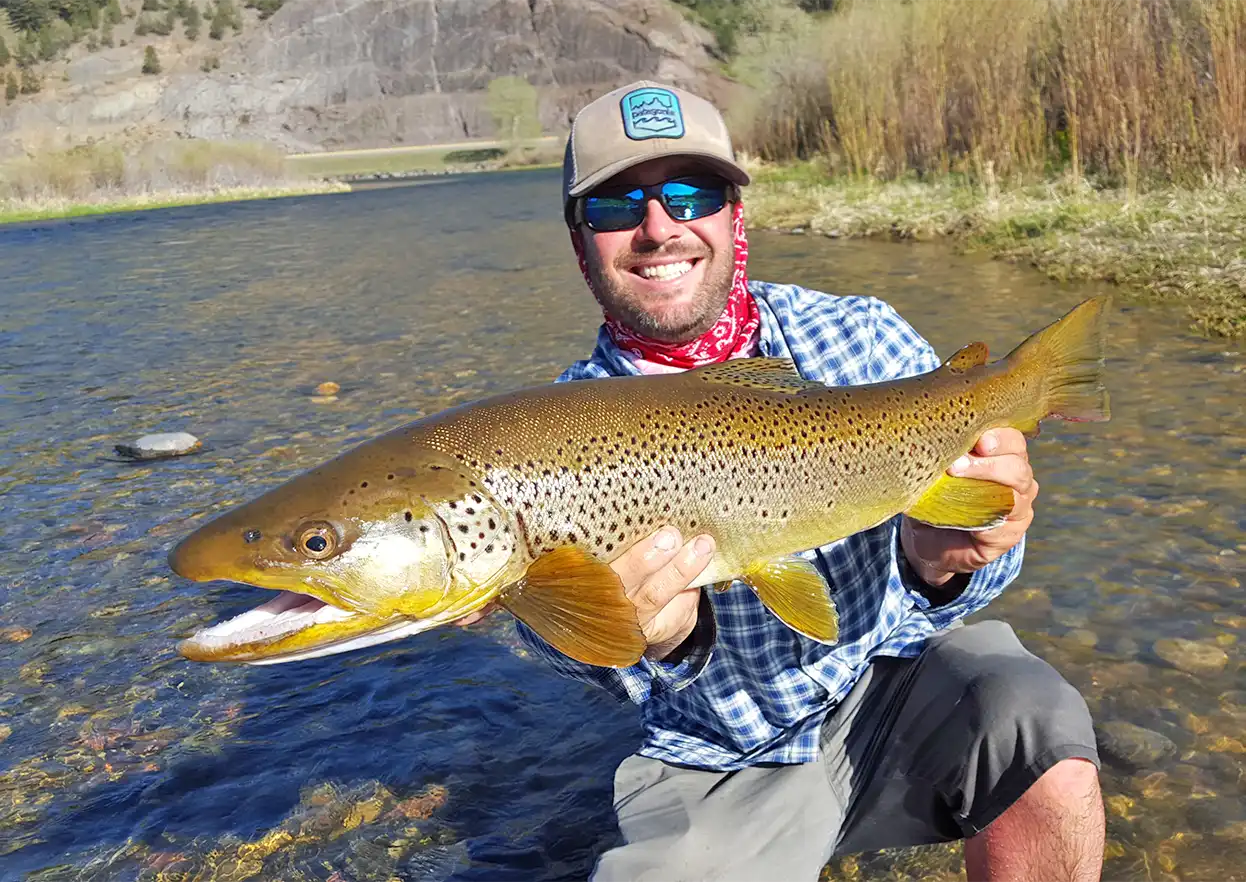 The Fly Shop Travel Image