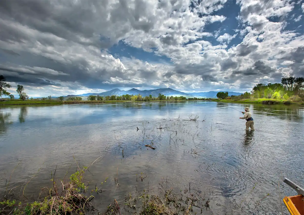 The Fly Shop Travel Image