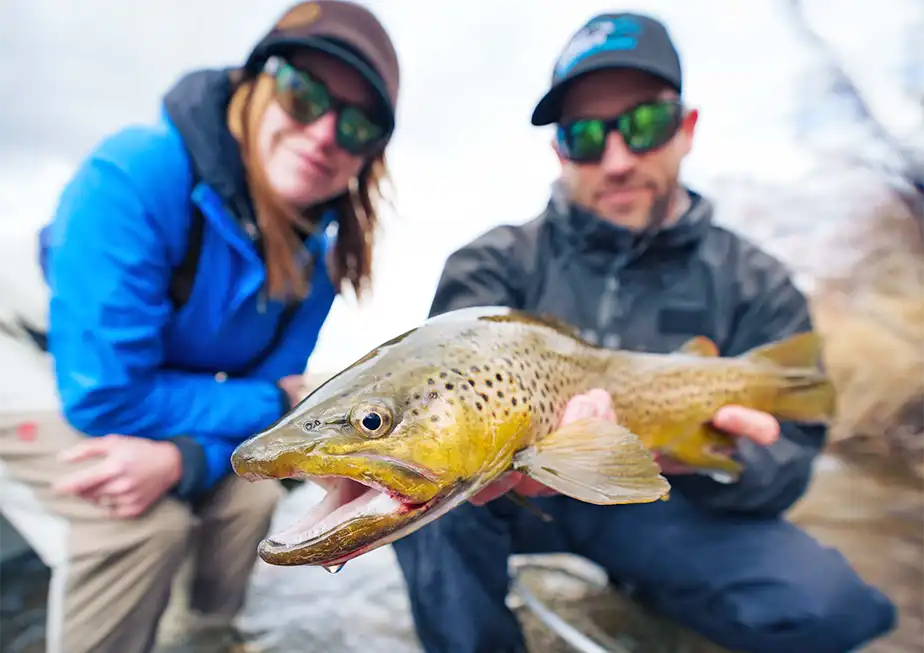 The Fly Shop Travel Image