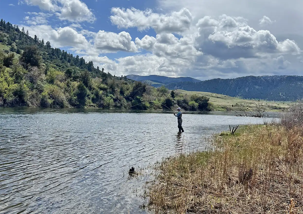 The Fly Shop Travel Image