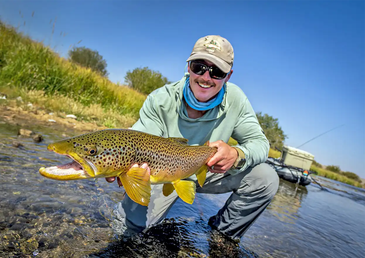 The Fly Shop Travel Image