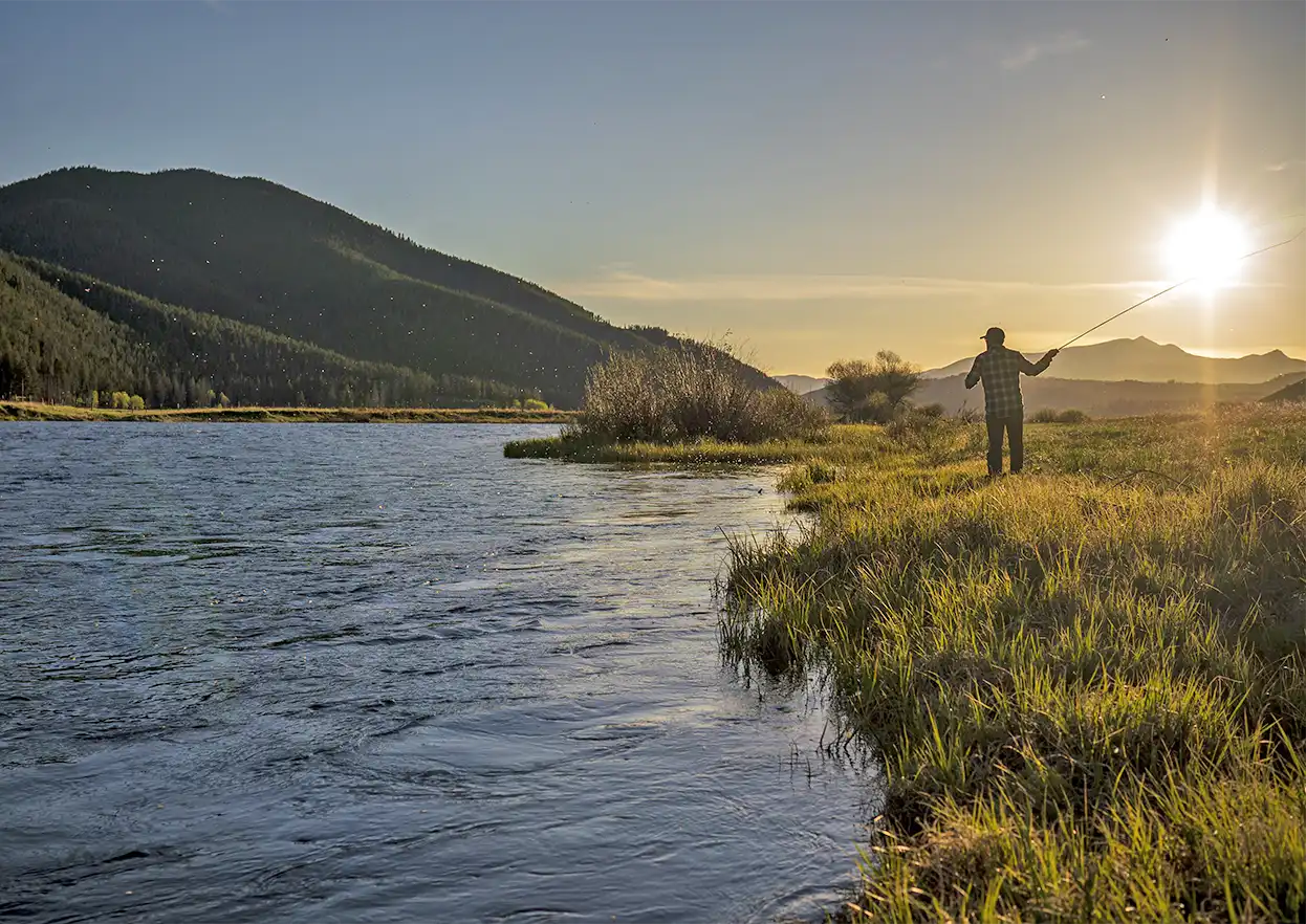 The Fly Shop Travel Image