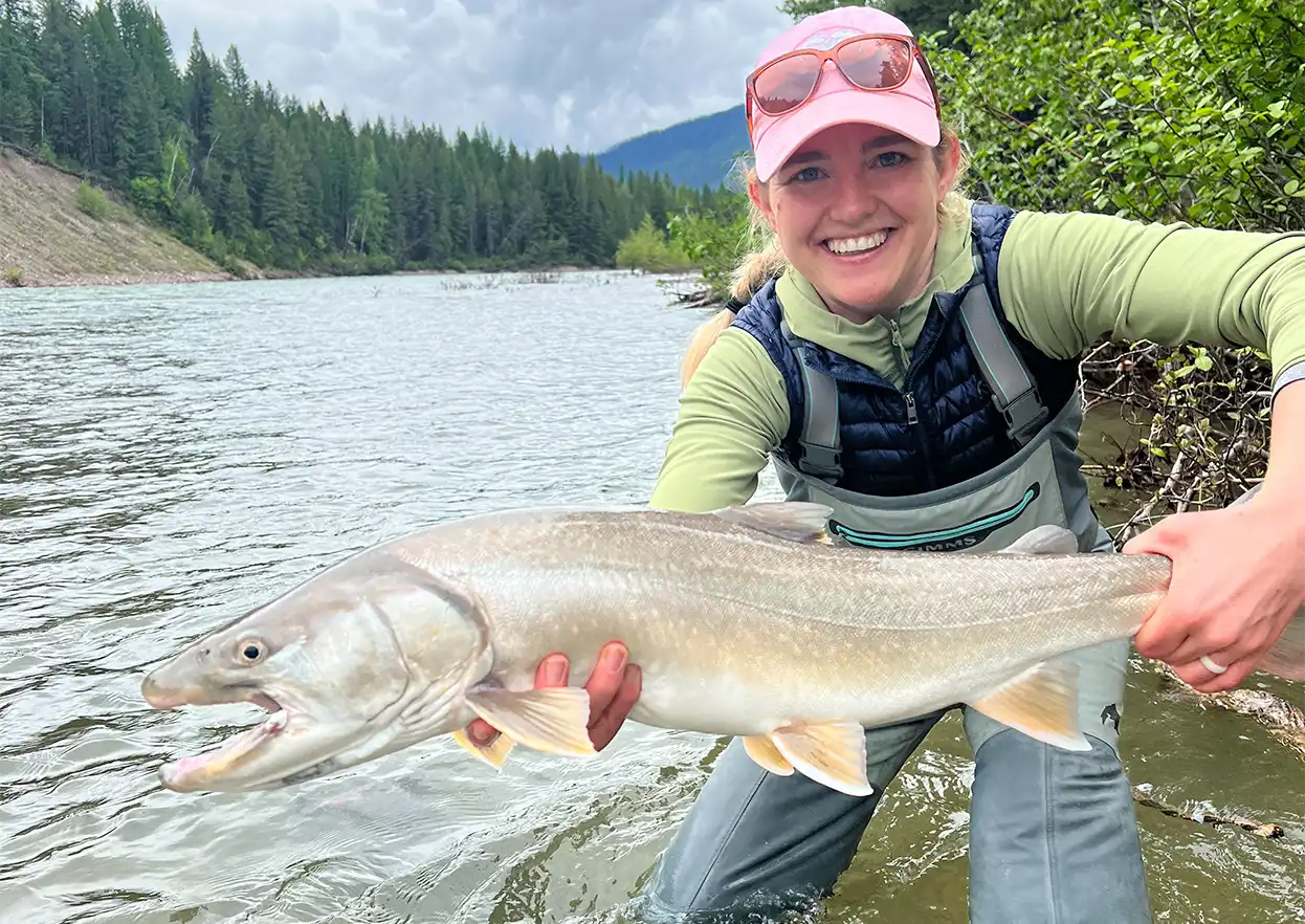 The Fly Shop Travel Image