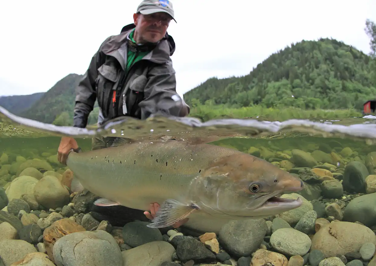 The Fly Shop Travel Image