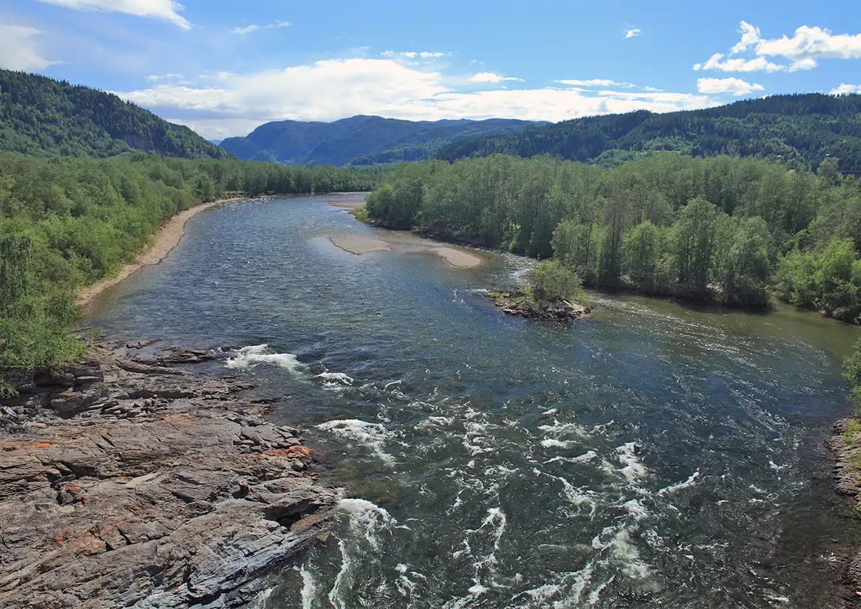 The Fly Shop Travel Image