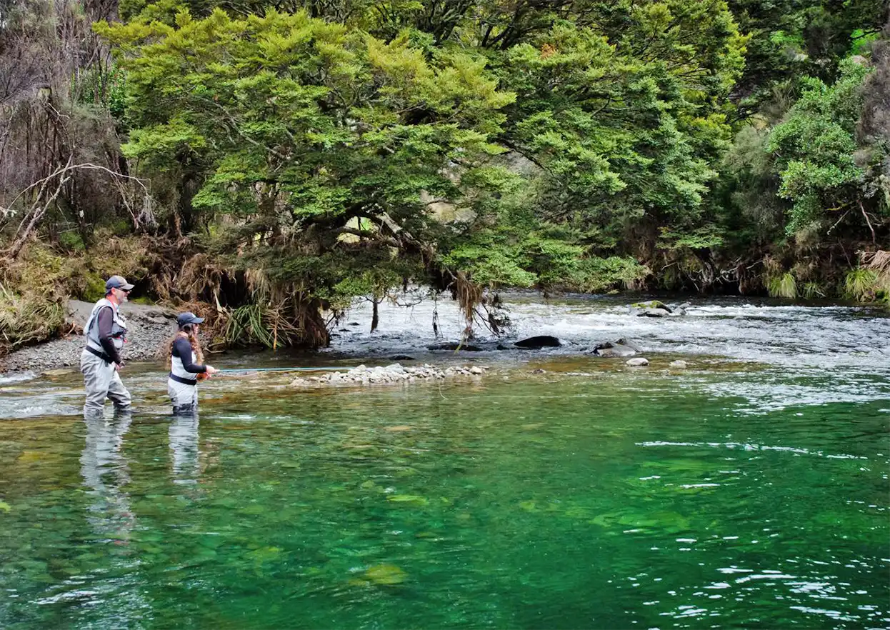 The Fly Shop Travel Image