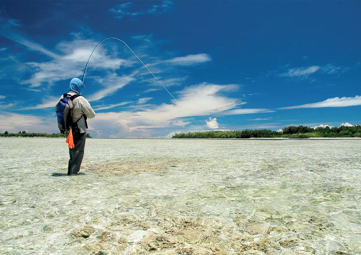 The Fly Shop Travel Image