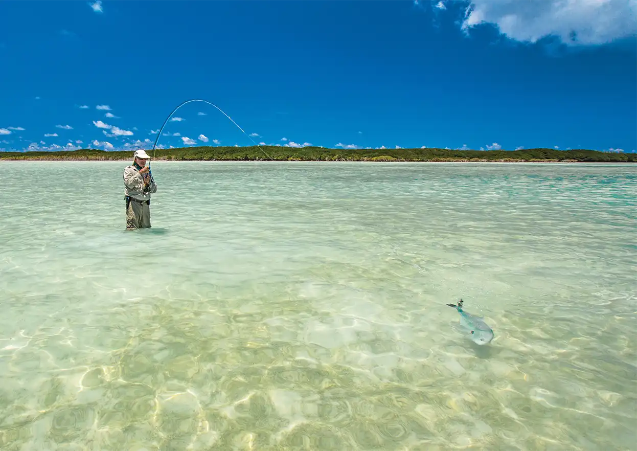 The Fly Shop Travel Image