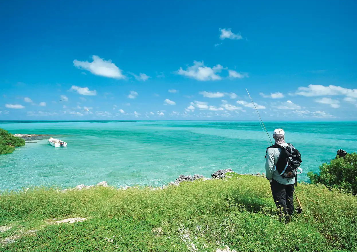 The Fly Shop Travel Image