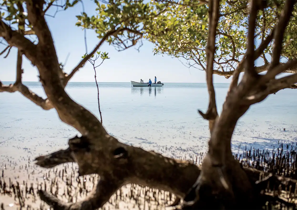 The Fly Shop Travel Image