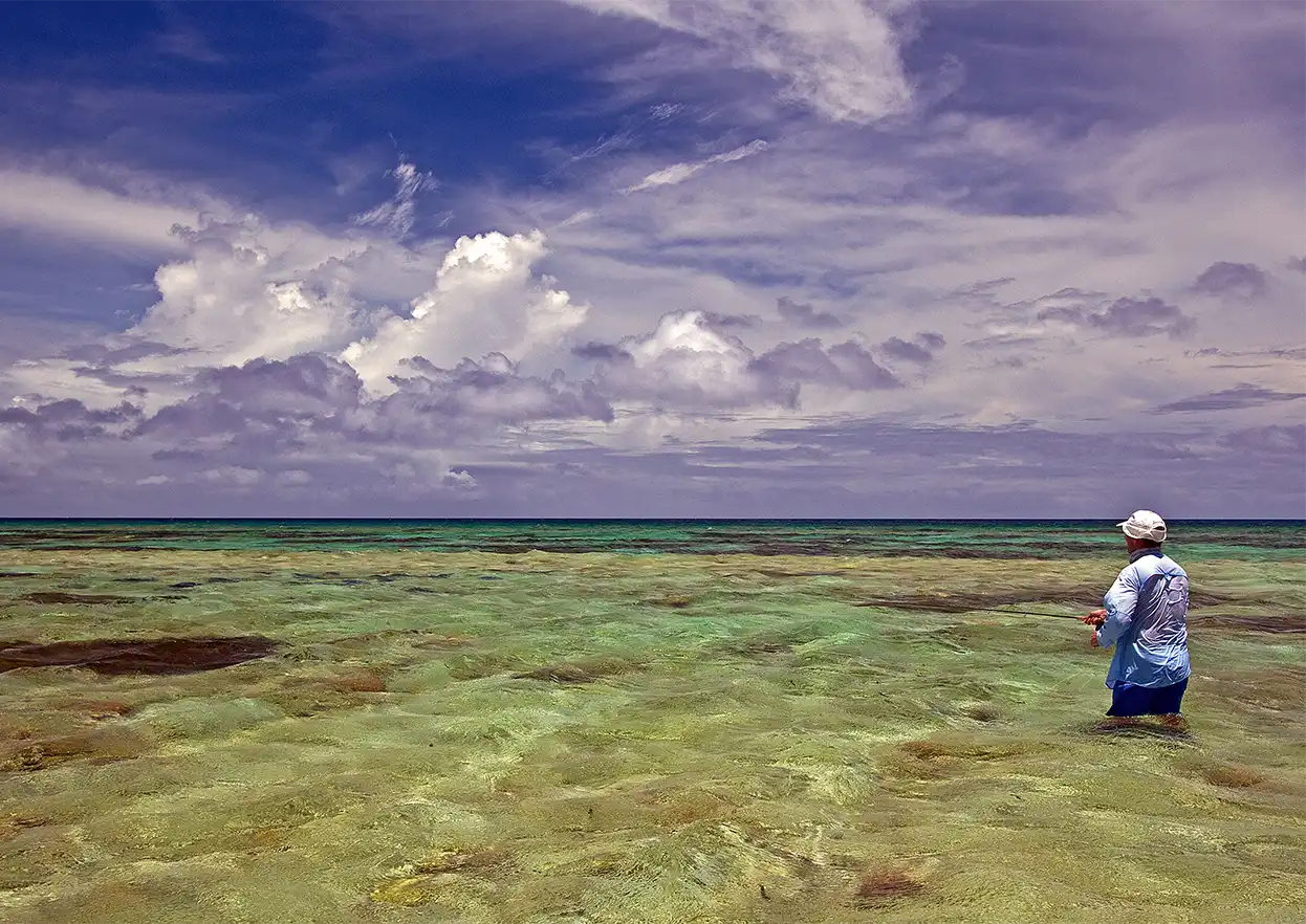 The Fly Shop Travel Image