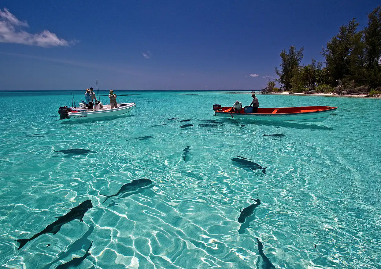 The Fly Shop Travel Image