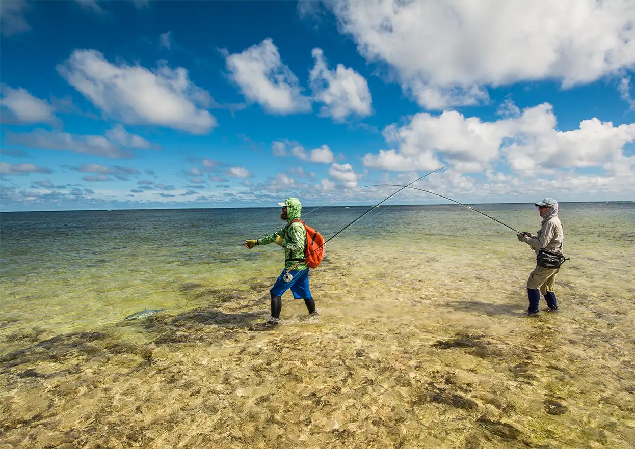 The Fly Shop Travel Image