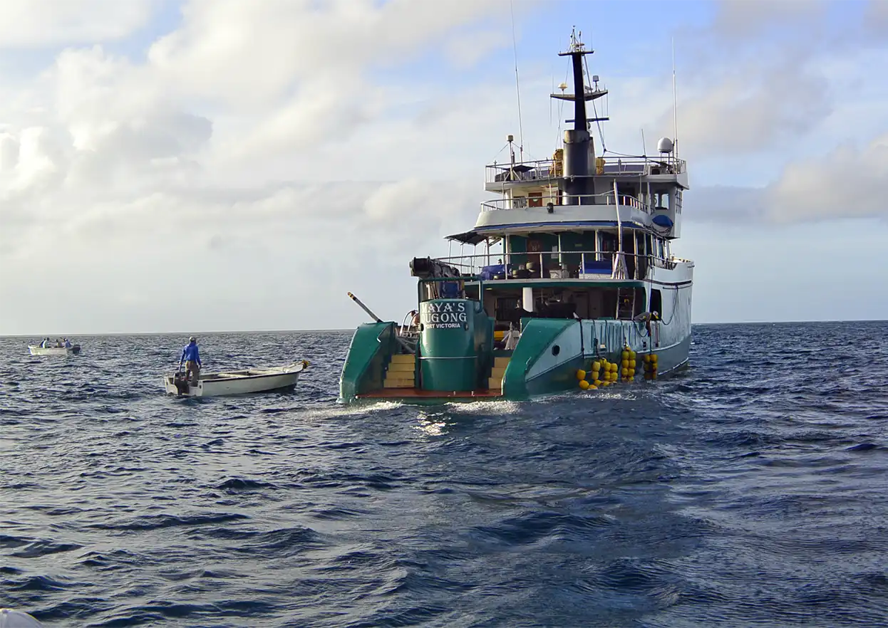 The Fly Shop Travel Image