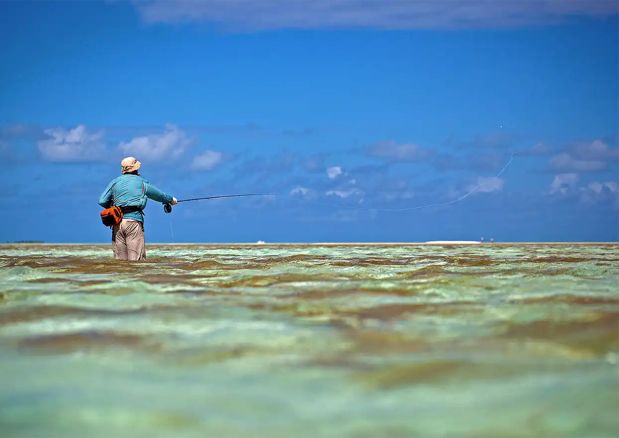 The Fly Shop Travel Image