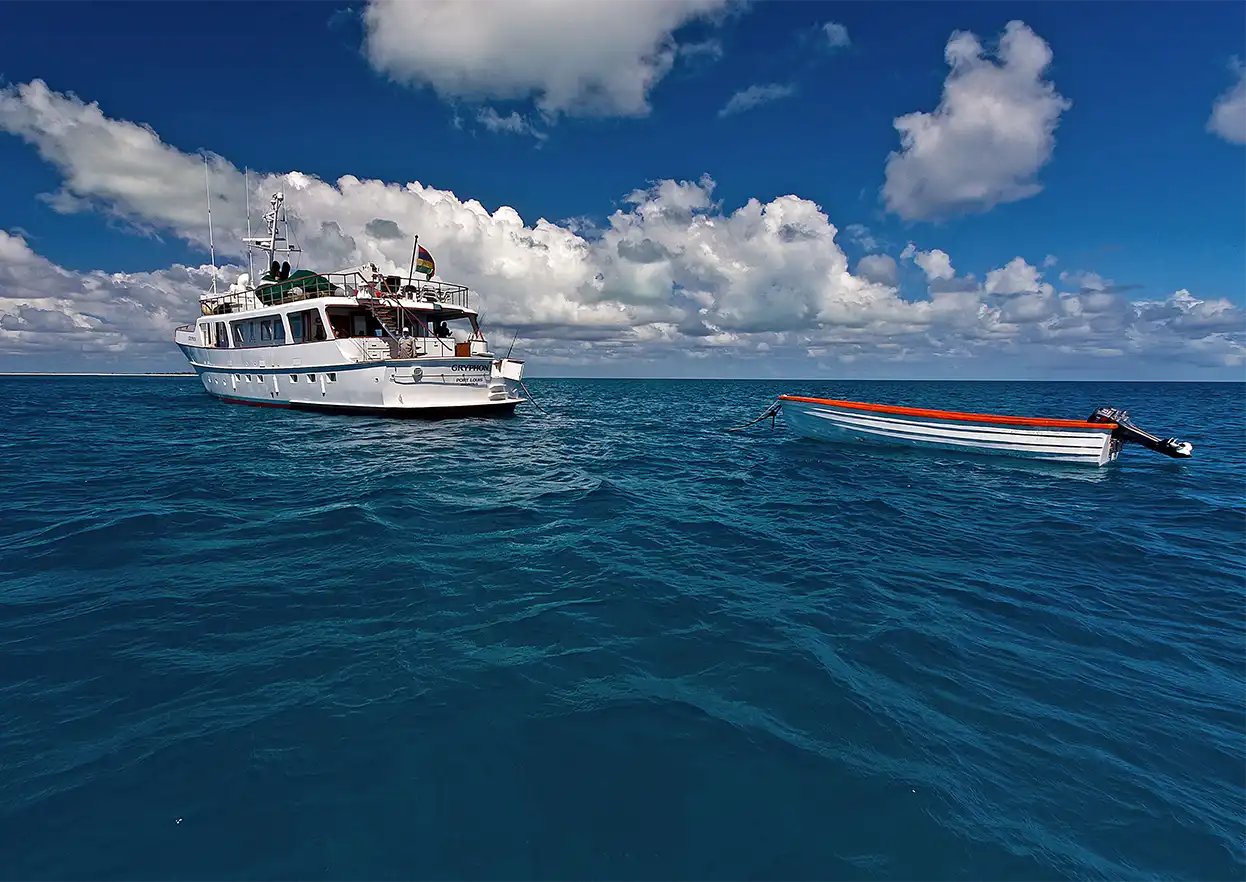 The Fly Shop Travel Image