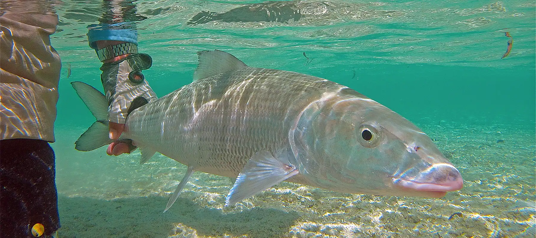 St. Brandon’s Atoll – Mauritius