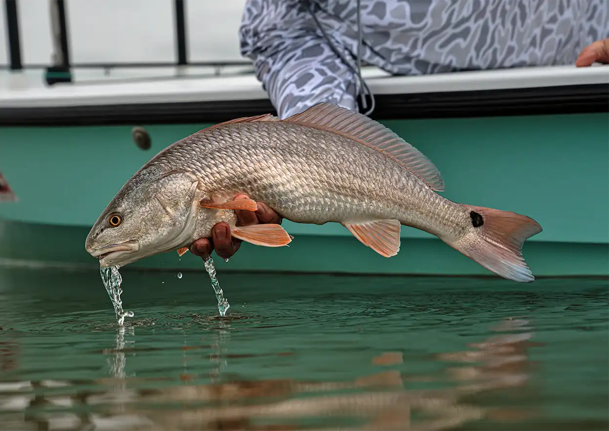 The Fly Shop Travel Image