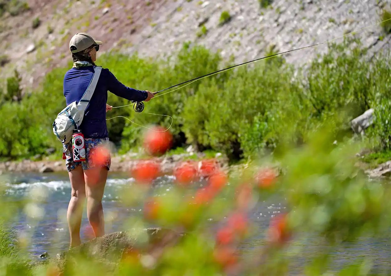 The Fly Shop Travel Image