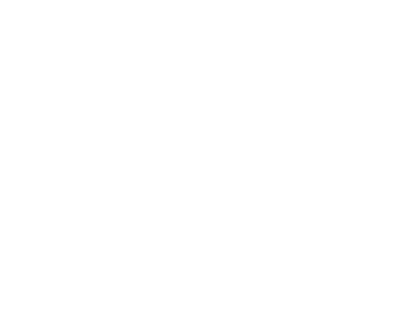The Fly Shop 2025