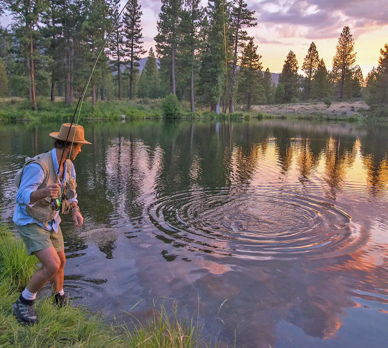 The Fly Shop Travel Image