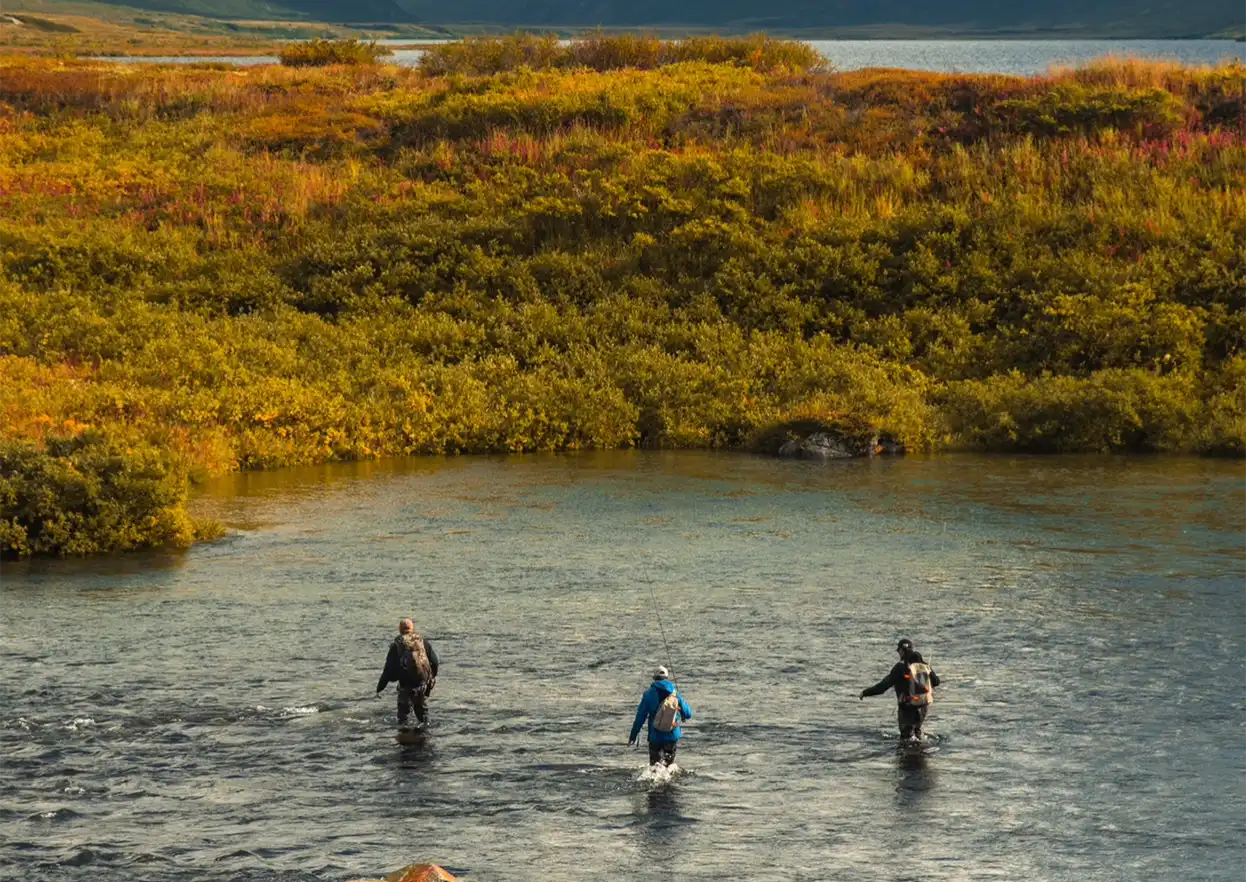 The Fly Shop Travel Image