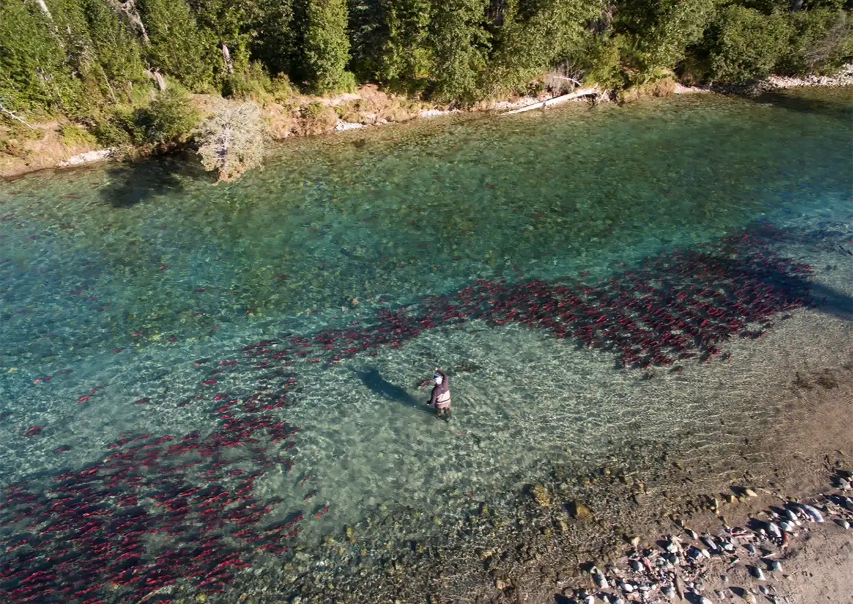 The Fly Shop Travel Image