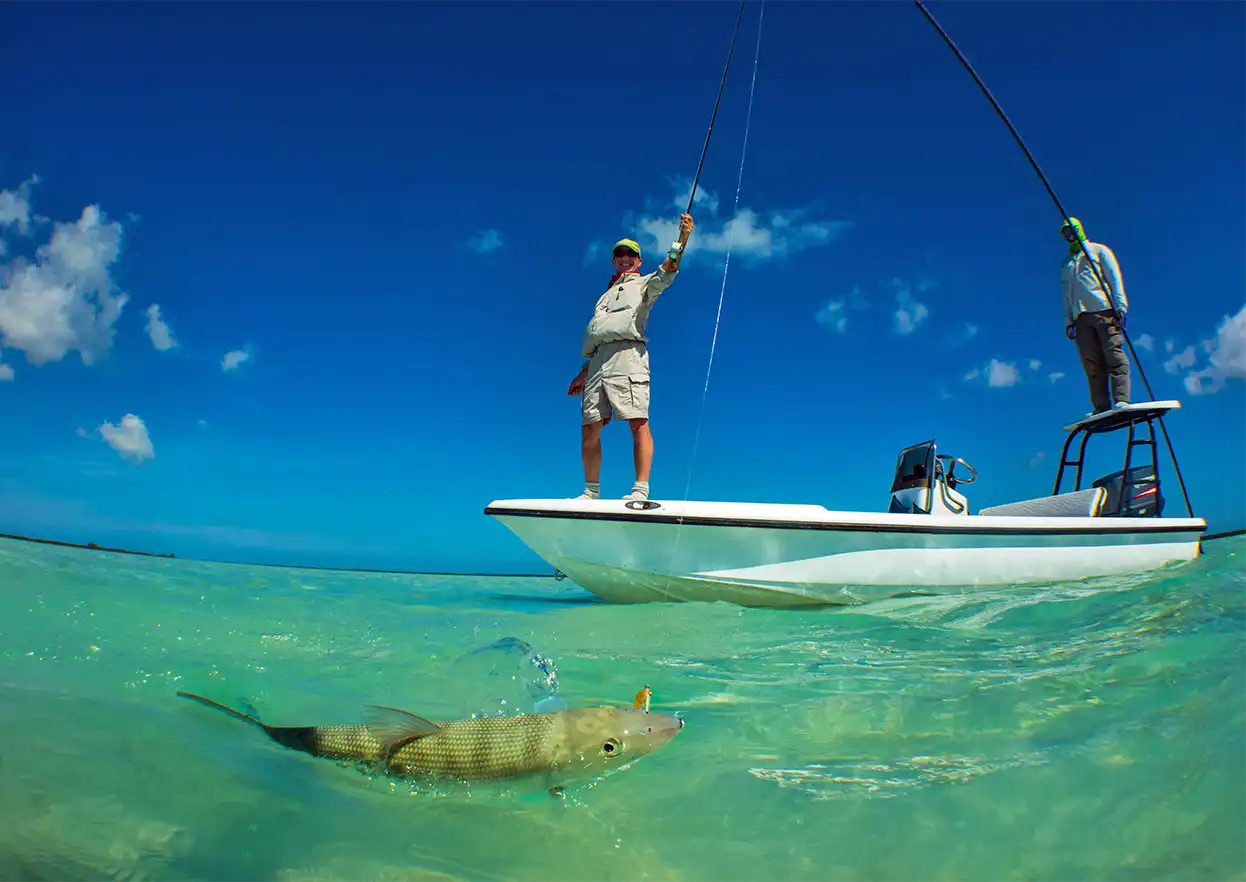 The Fly Shop Travel Image