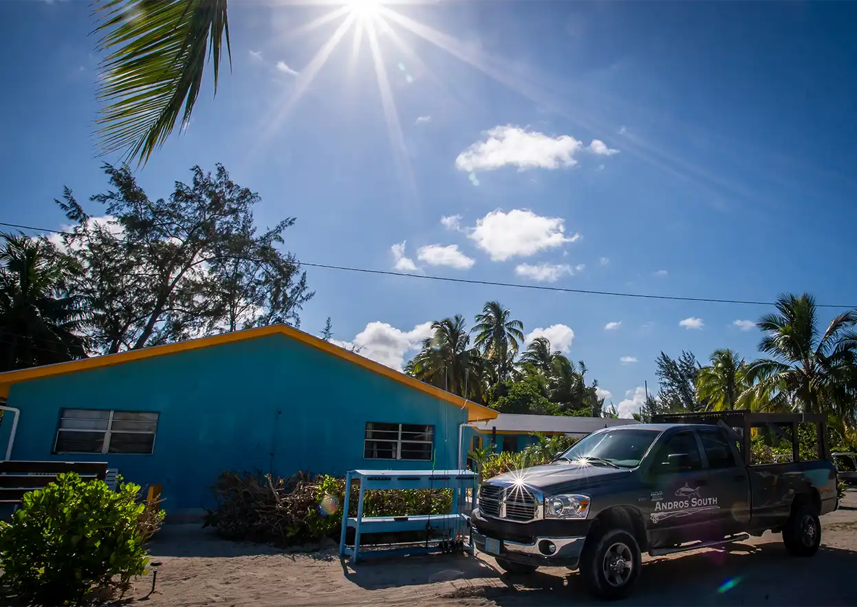 The Fly Shop Travel Image