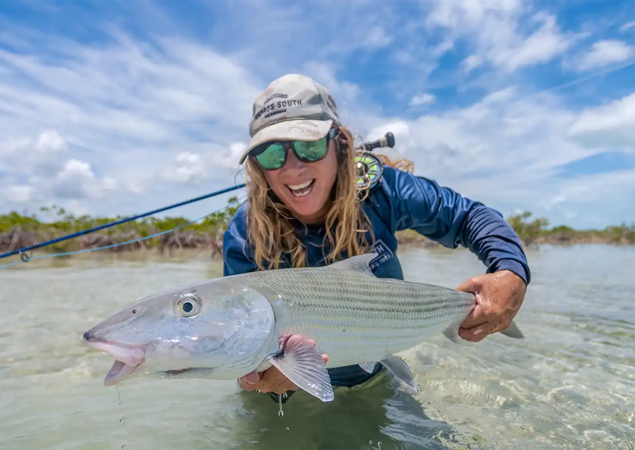 The Fly Shop Travel Image