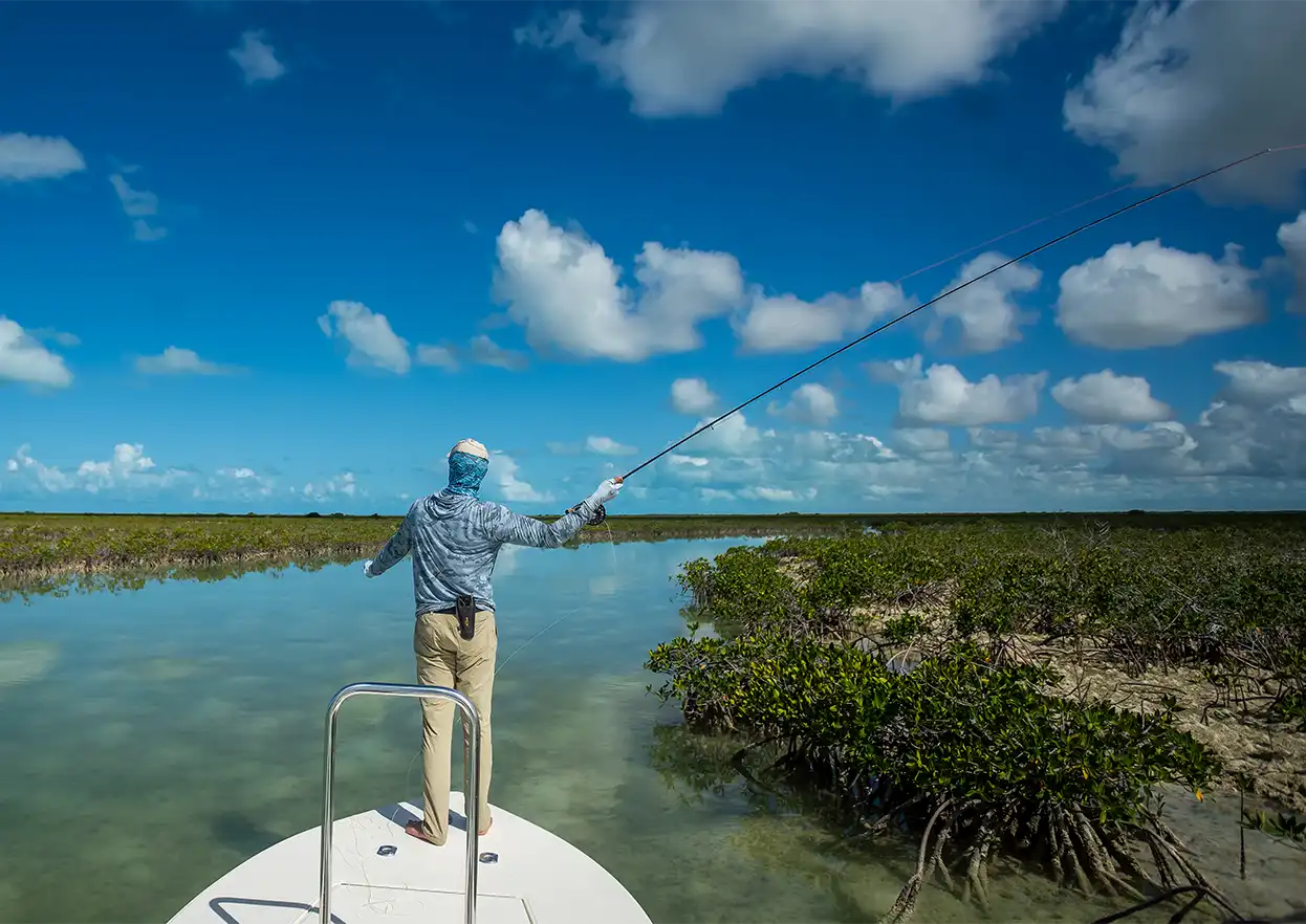 The Fly Shop Travel Image