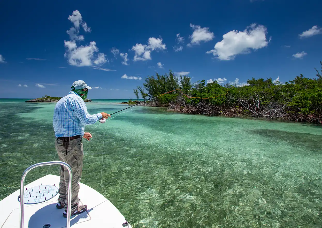 The Fly Shop Travel Image