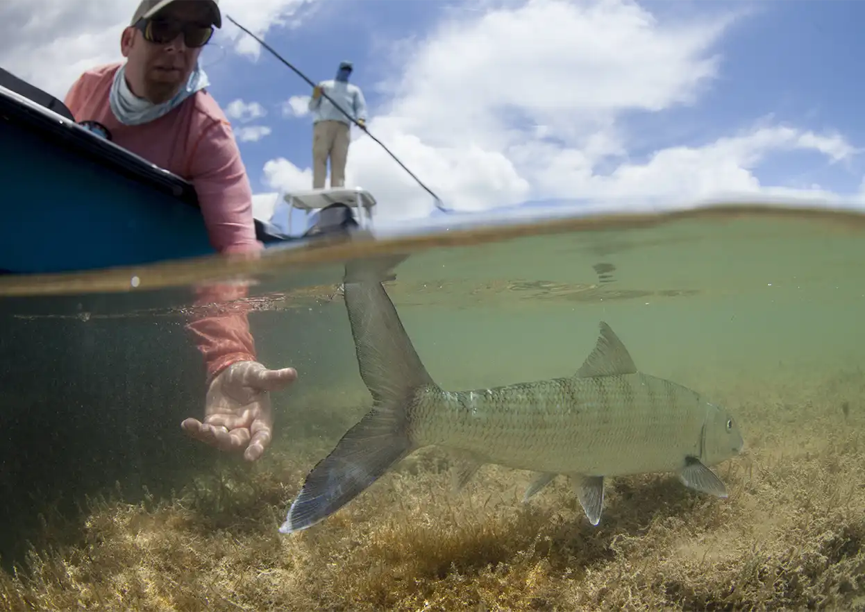 The Fly Shop Travel Image