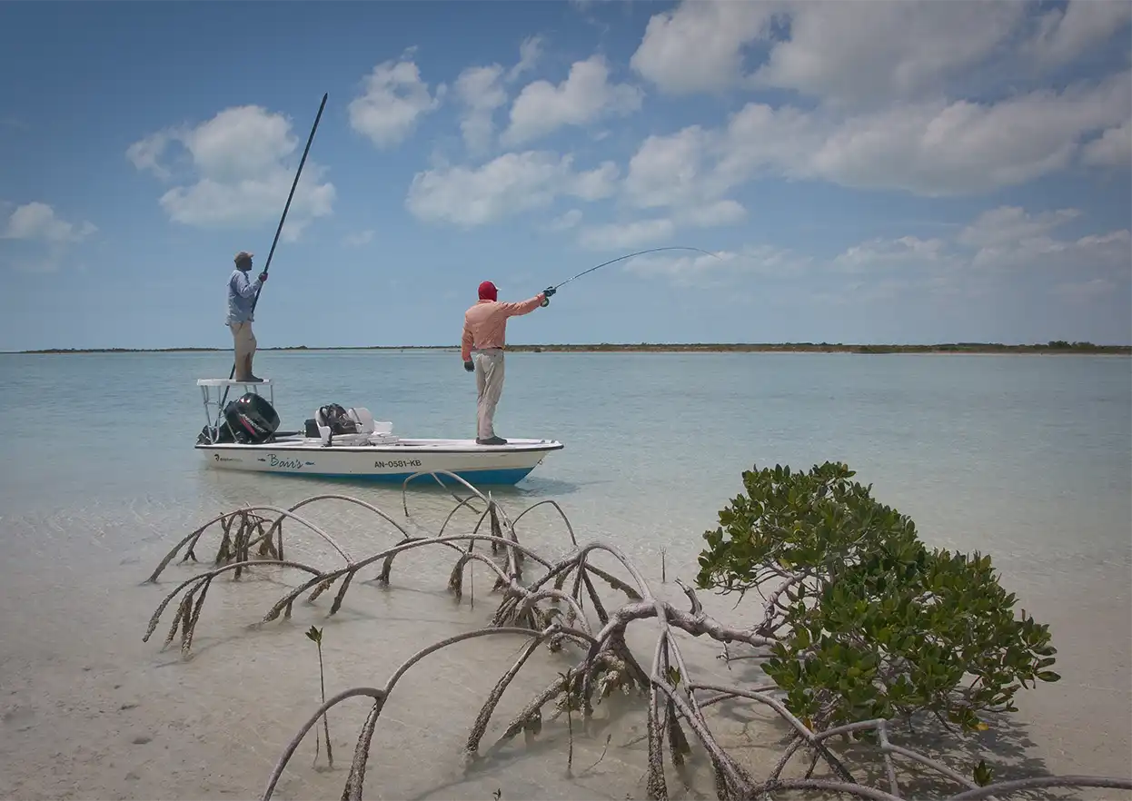 The Fly Shop Travel Image