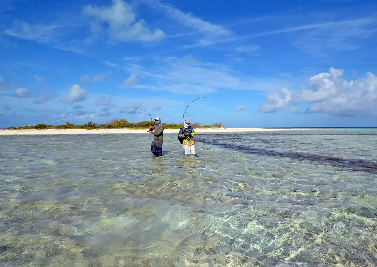 The Fly Shop Travel Image