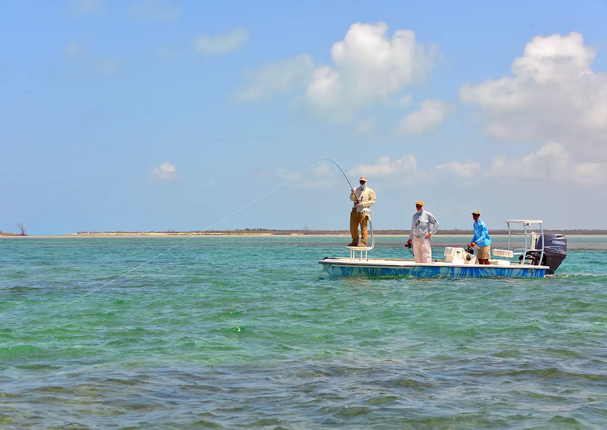 The Fly Shop Travel Image